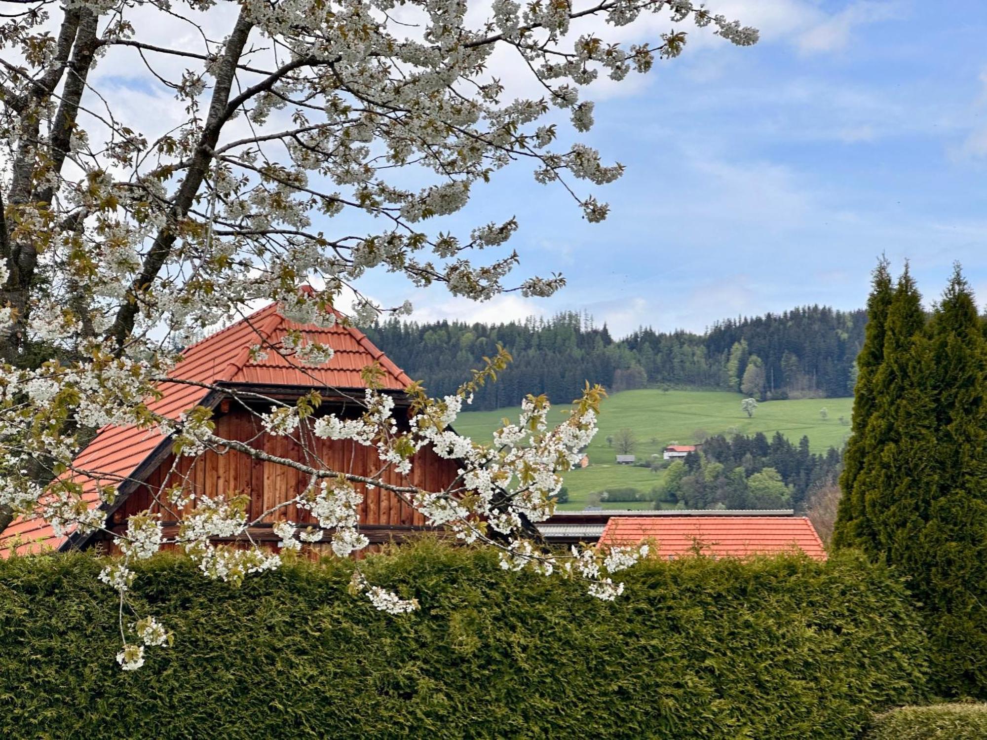 Romantic Chalet - Alpine Getaway Salzkammergut Viechtwang Eksteriør billede
